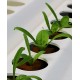 NFT Hygro Grower Profile - Nursing channel (72 holes)