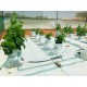 NFT Hydroponic Base