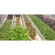 NFT Hydro Microgreens Open Top Profile (1.825m)