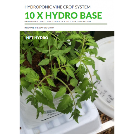 NFT-BASE-10-BUN