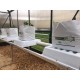 NFT-BASE-10-BUN