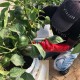 NFT Hydroponic Base