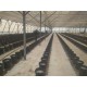 300M² 364-P HYDROPONIC DUTCH TYPE BUCKET