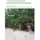 170² 189-P Hydroponic Dutch Type Bucket System
