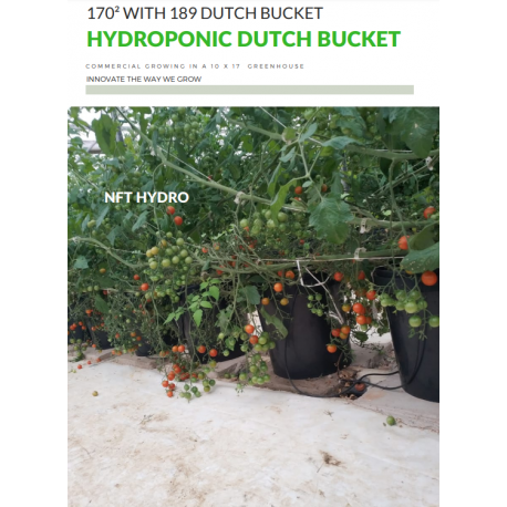 170² 189-P Hydroponic Dutch Type Bucket System
